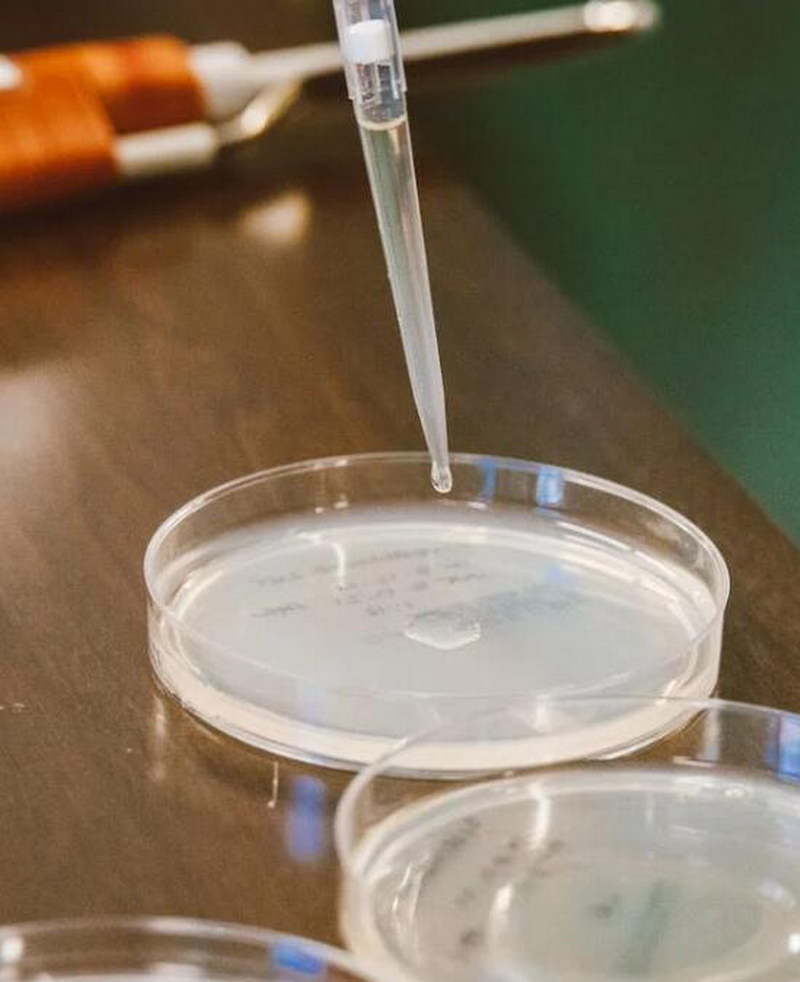 氨磺必利与典型和其他非典型抗精神病药物的比较